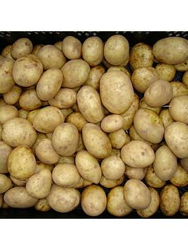 Product photograph of Seed Potato Maris Piper Maincrop - 2 5kg from very.co.uk