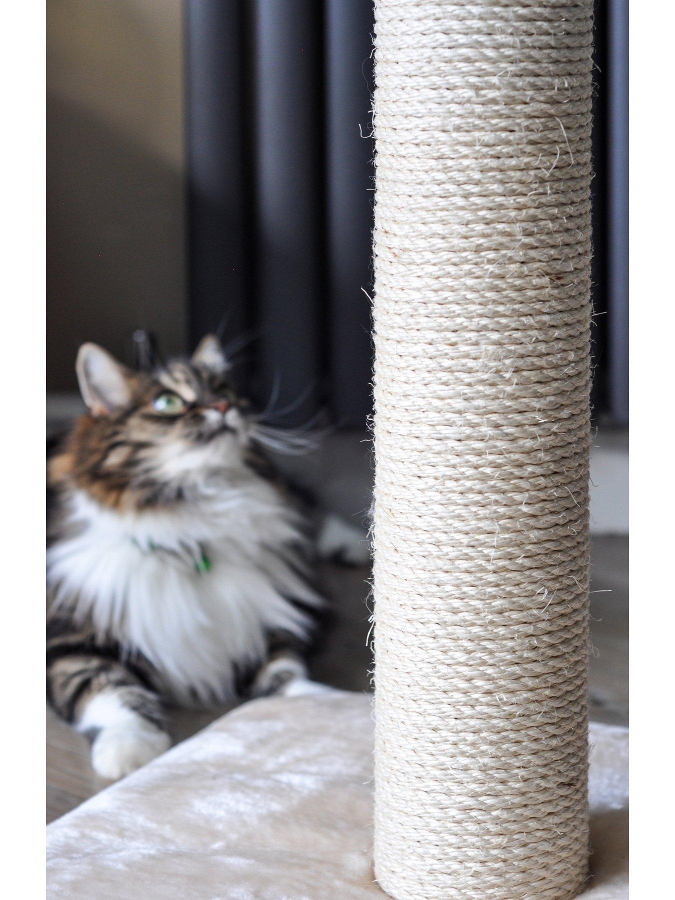 Deluxe cat shop scratching post