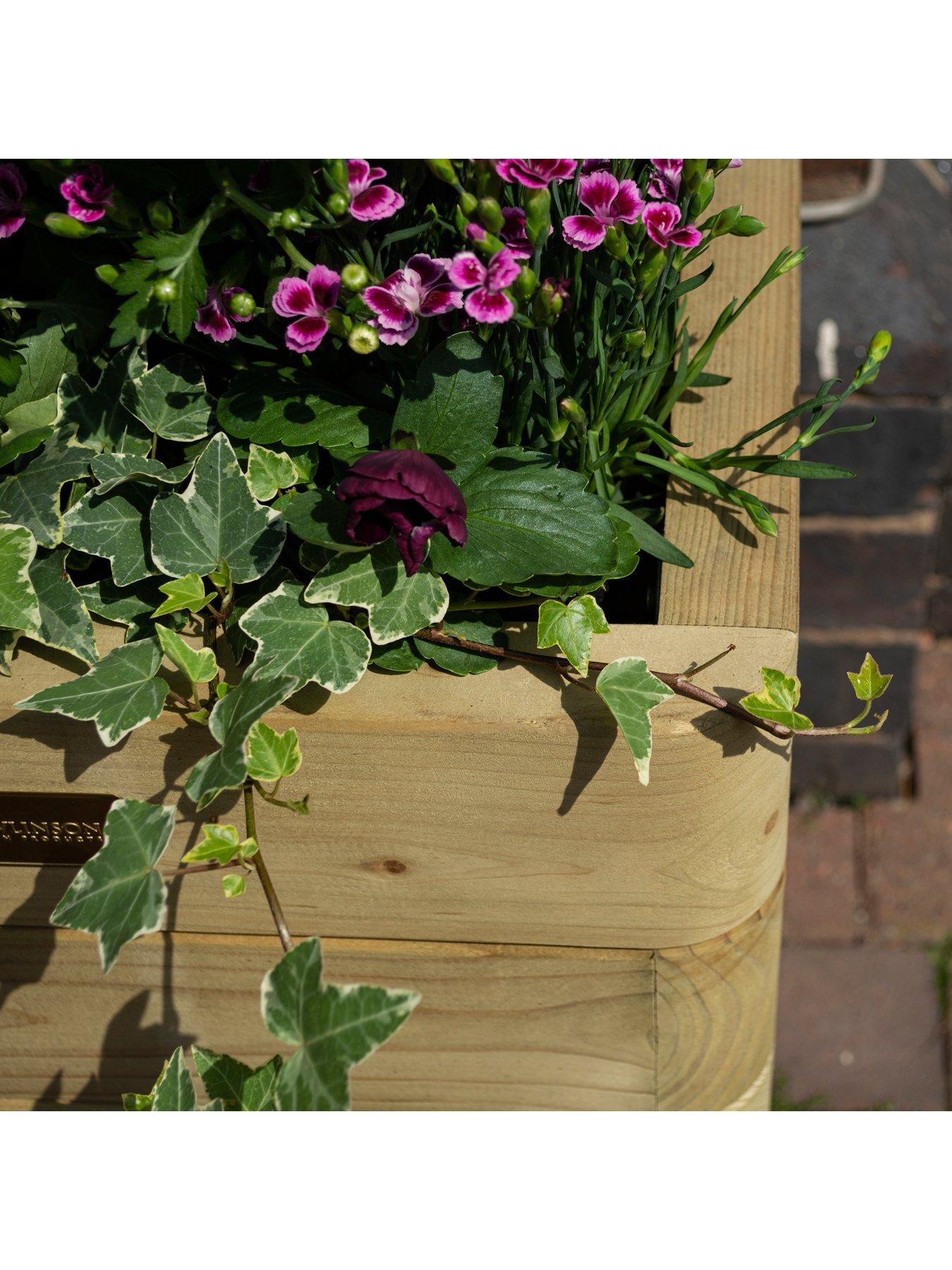 Image 3 of 6 of Rowlinson Marberry Tall Planter
