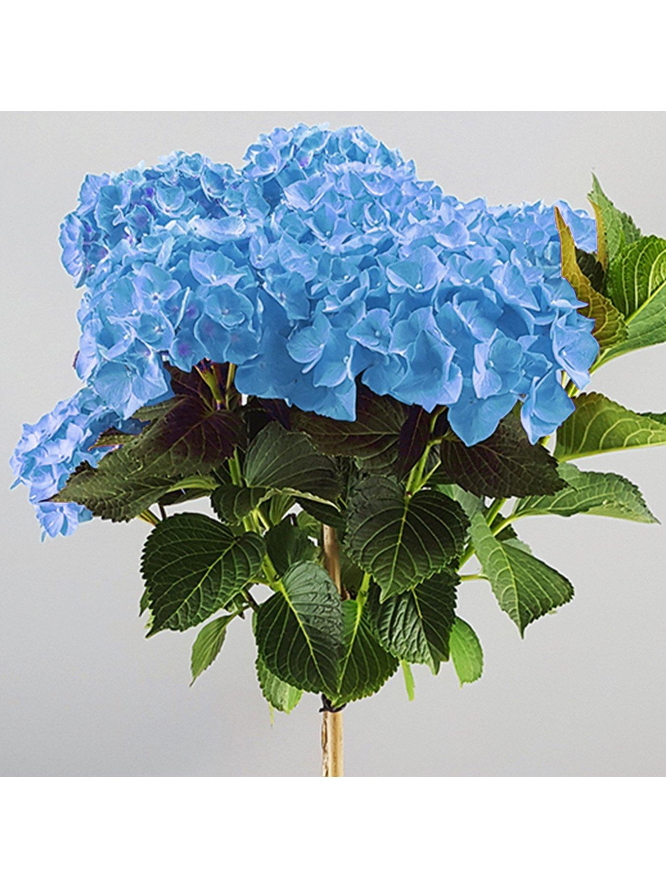 Workwear Inspiration from  Fashion… – The Blue Hydrangeas