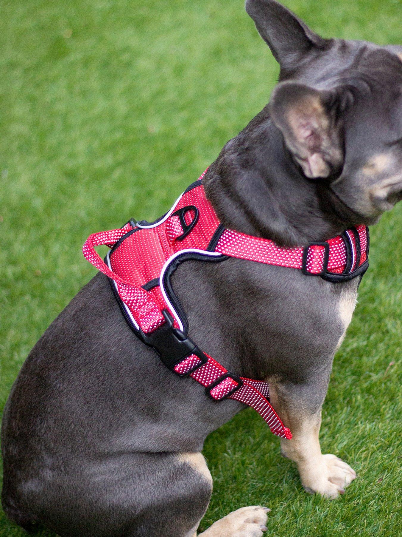 Image 3 of 4 of Rosewood Reflective Dog Harness -&nbsp;Medium (Red)