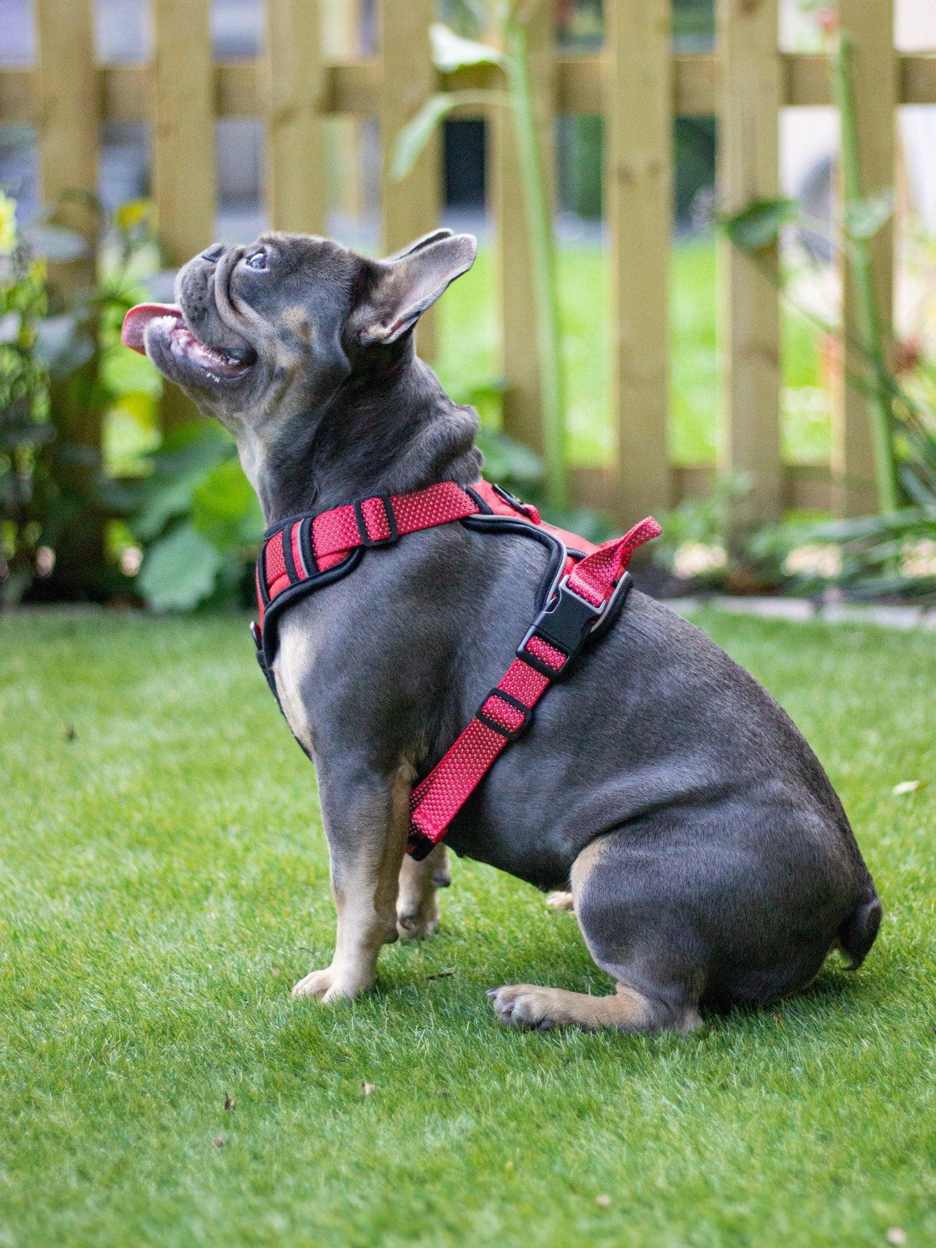 Image 4 of 4 of Rosewood Reflective Dog Harness -&nbsp;Medium (Red)