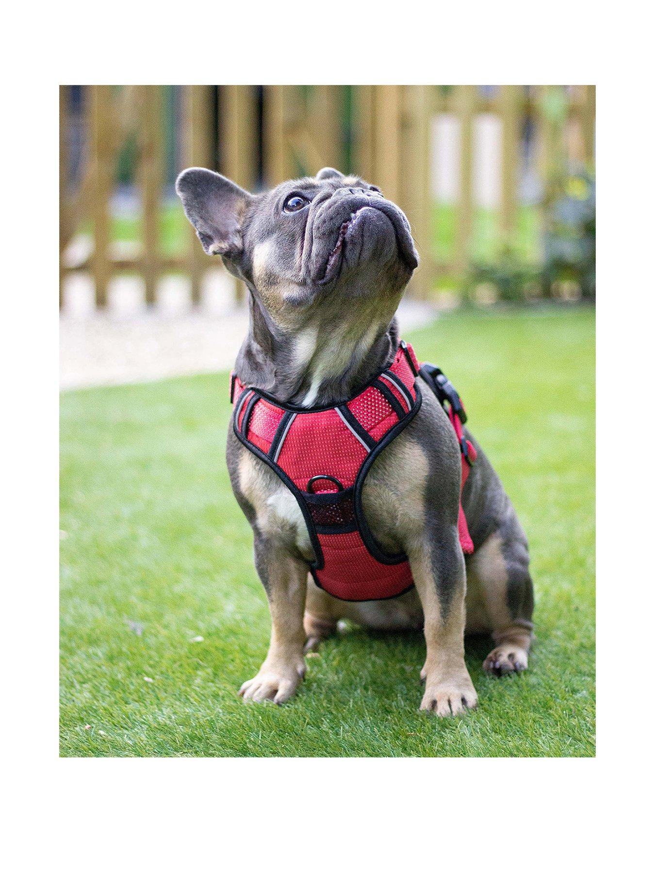 Rosewood Reflective Dog Harness - Large (Red)