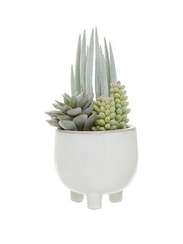 Product photograph of Premier Housewares Fiori Mixed Succulents In White Pot from very.co.uk