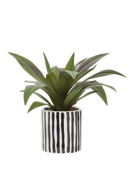 premier-housewares-fiori-agave-plant-in-stripe-pot