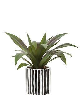 Product photograph of Premier Housewares Fiori Agave Plant In Stripe Pot from very.co.uk