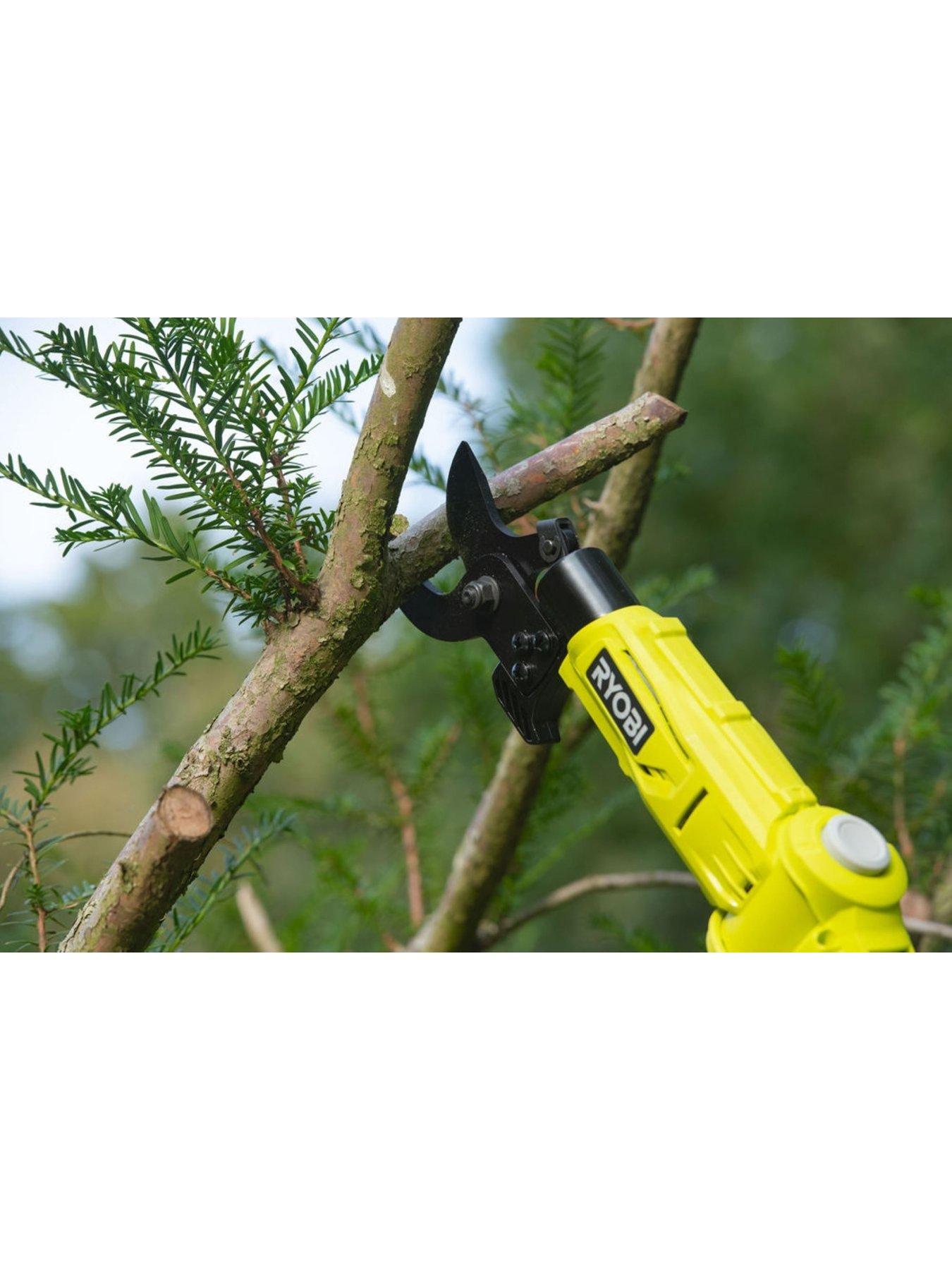 Ryobi 18v pole discount pruner