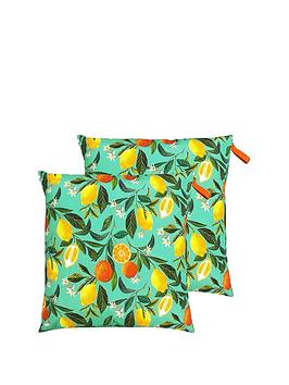 Orange Blossom Water & Uv Resistant Outdoor Floor Cushion 2 Pack