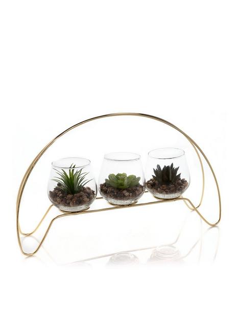 hestia-trio-succulent-plants-in-gold-hoop-frame