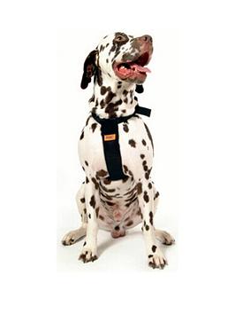 Product photograph of Rac Dog Car Harness Medium from very.co.uk