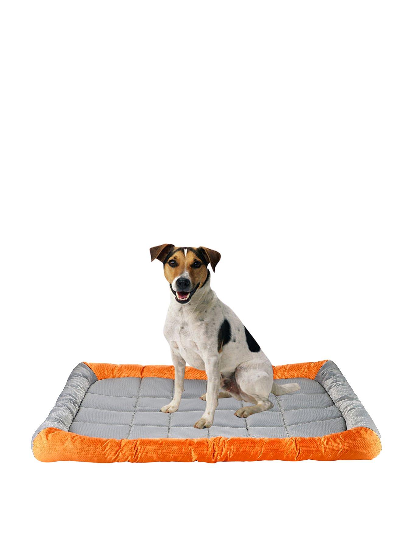 Product photograph of Dream Paws Dreams Paws Water Resistant Pet Travel Mat Medium from very.co.uk