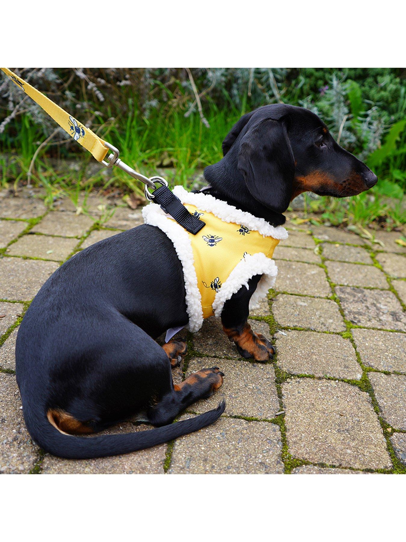 Image 2 of 3 of Cath Kidston Bees Soft Harness XS