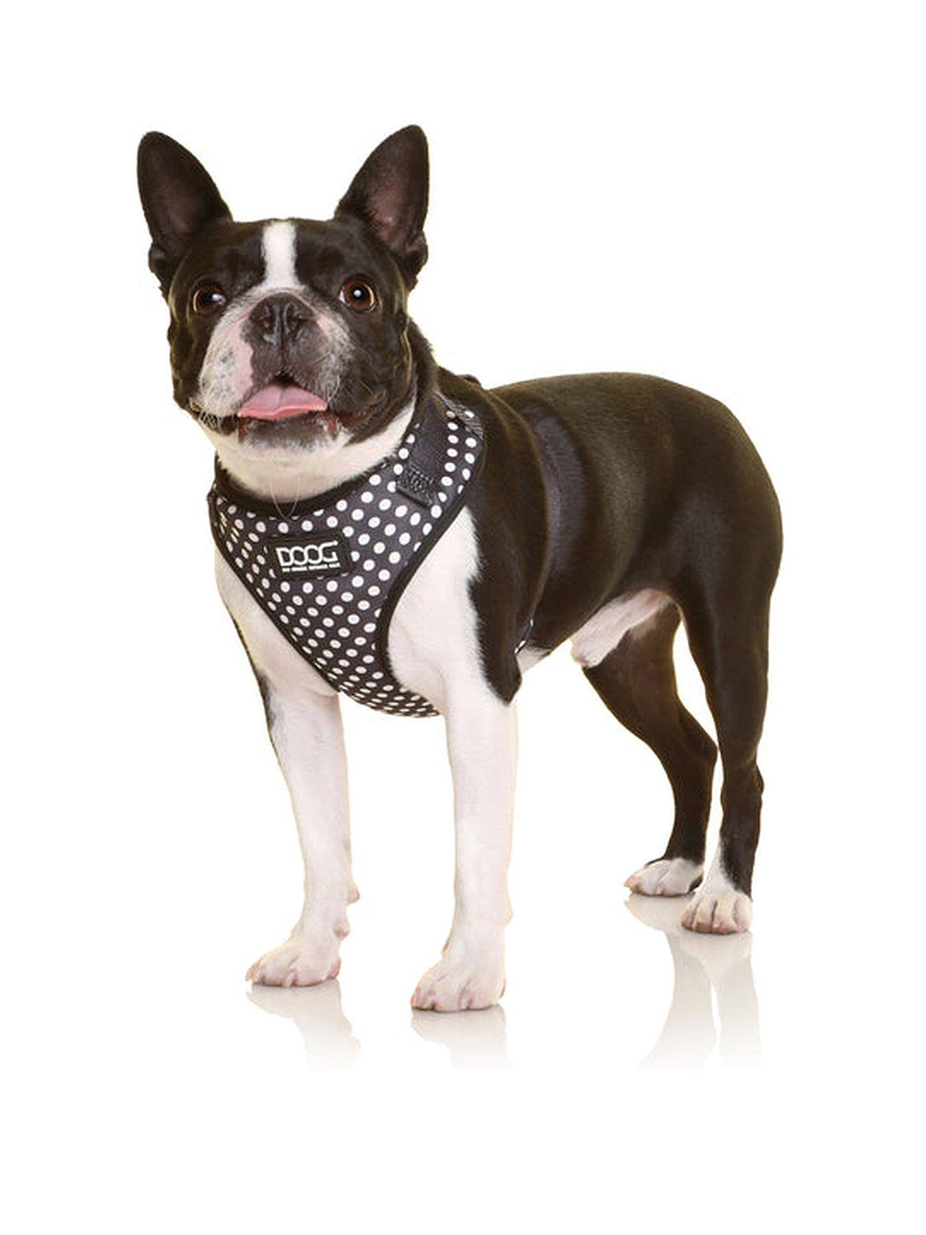 Product photograph of Doog Neoflex Dog Harness Pongo - Large - Small from very.co.uk