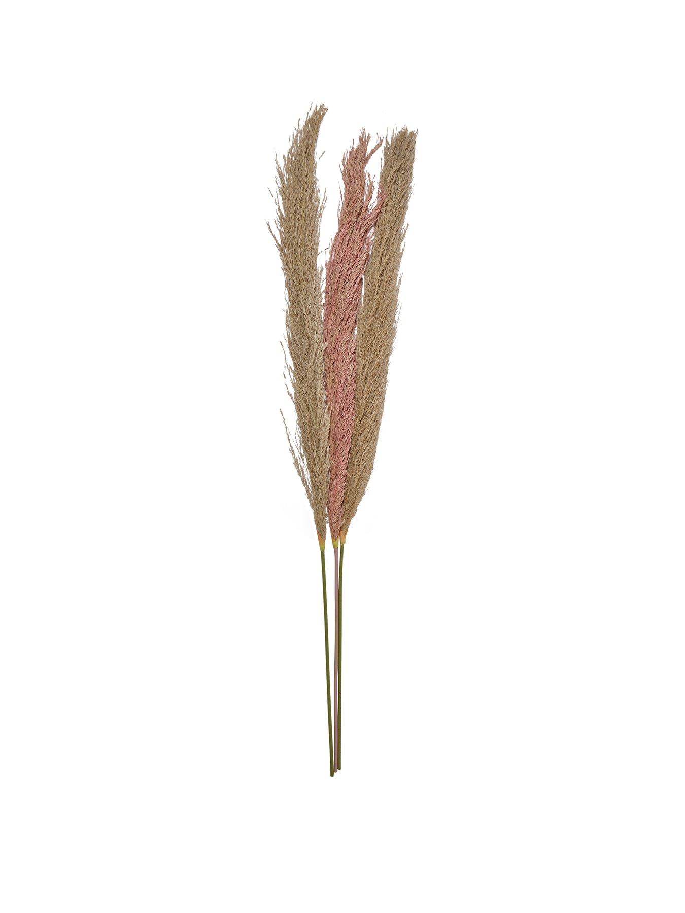 Product photograph of Chapter B Pampas Grass - Set Of 3 from very.co.uk