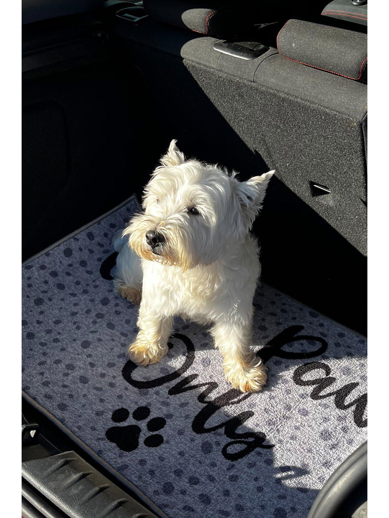 Image 2 of 5 of The Very Collection Clean Paws Only Pet Boot Mat - Grey