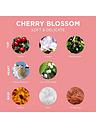 Image thumbnail 3 of 3 of L'OCCITANE Cherry Blossom Body Lotion 250ml