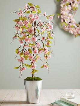 Product photograph of Very Home Spring Cherry Blossom Tree In Pot 60cm from very.co.uk