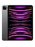  image of apple-ipad-pro-4th-gen-2022-256gb-wi-fi-amp-cellular-11-inch-space-grey