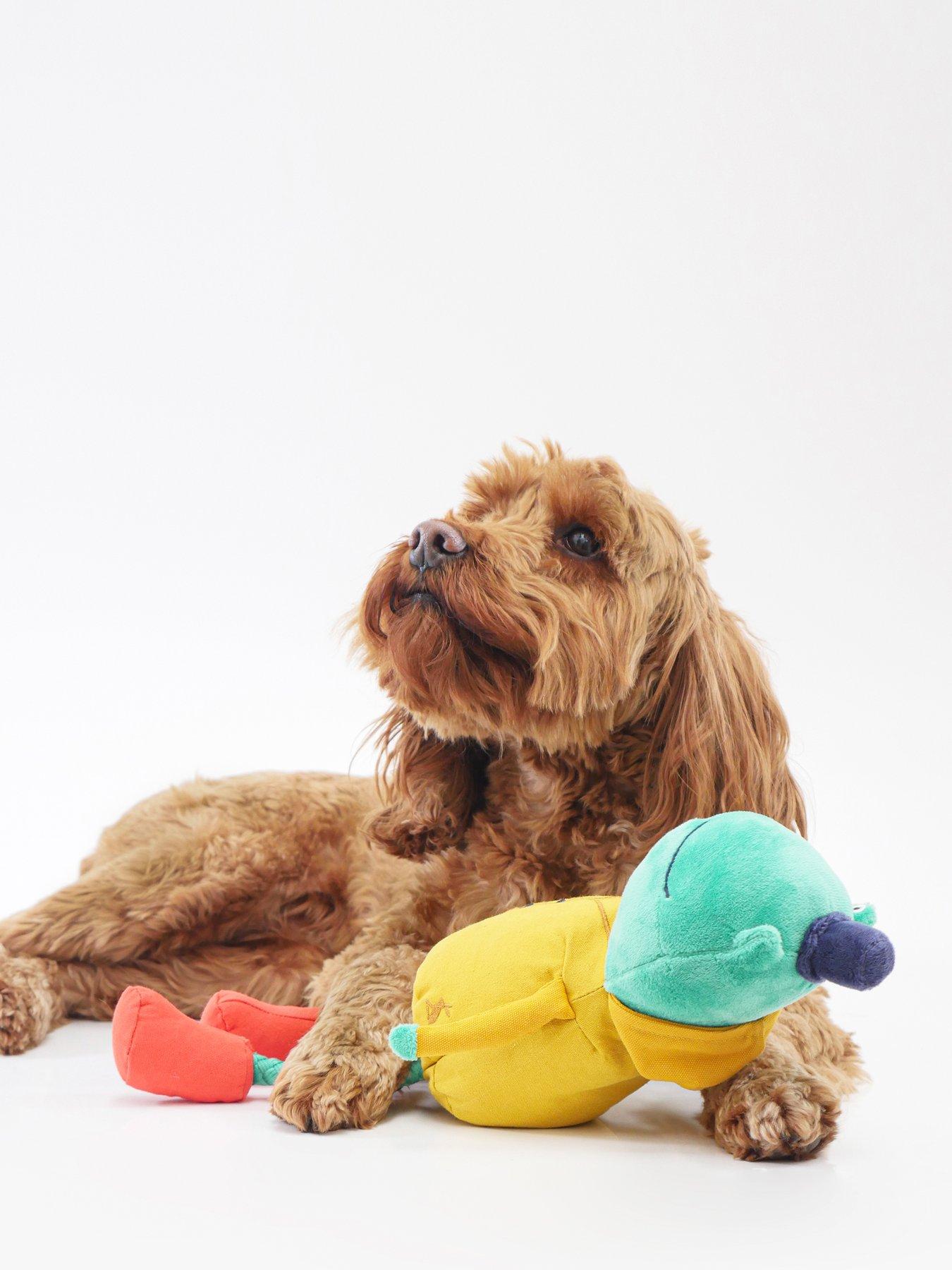 Image 3 of 6 of Joules Frog Dog Toy