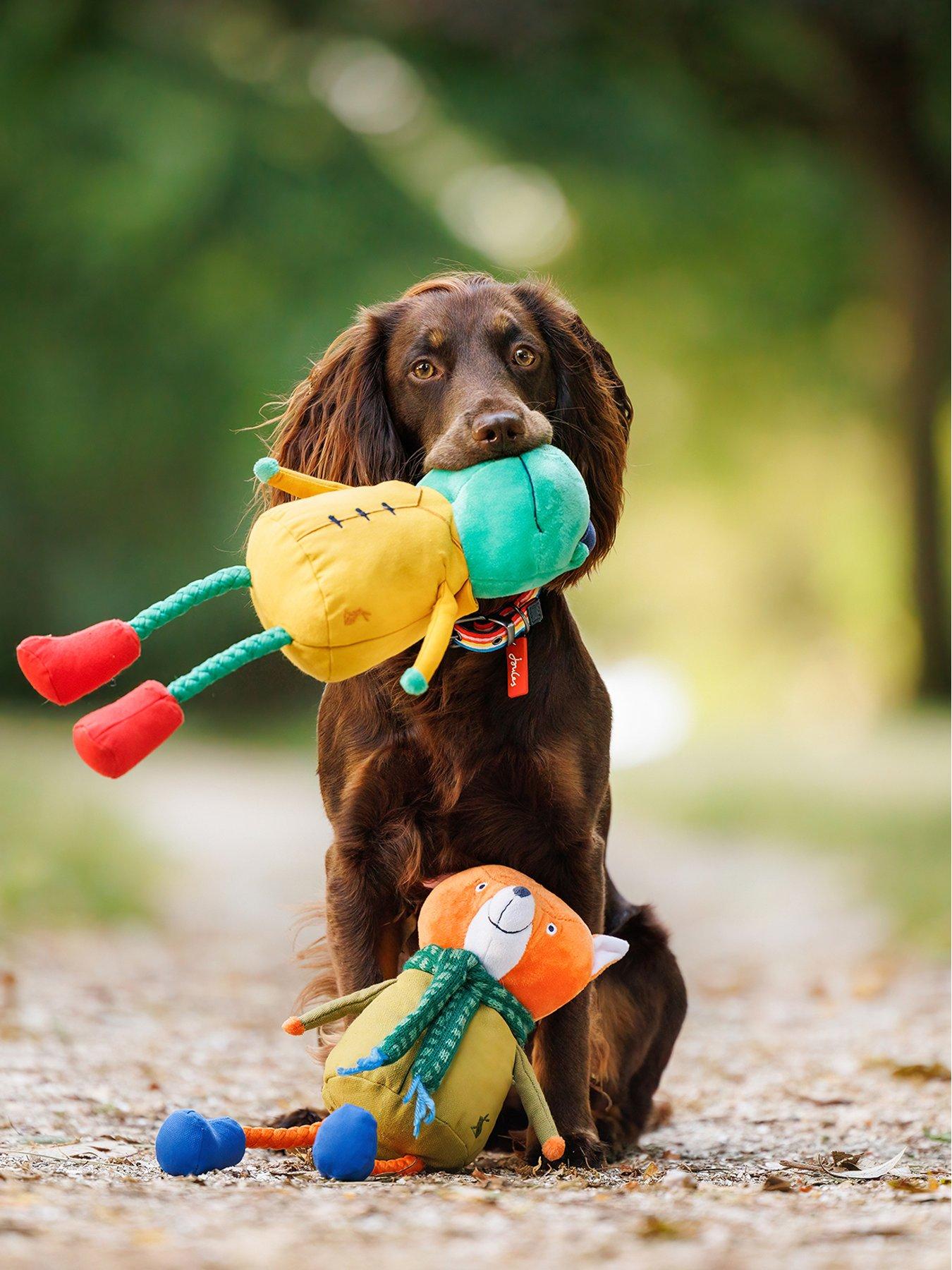 Image 5 of 6 of Joules Frog Dog Toy