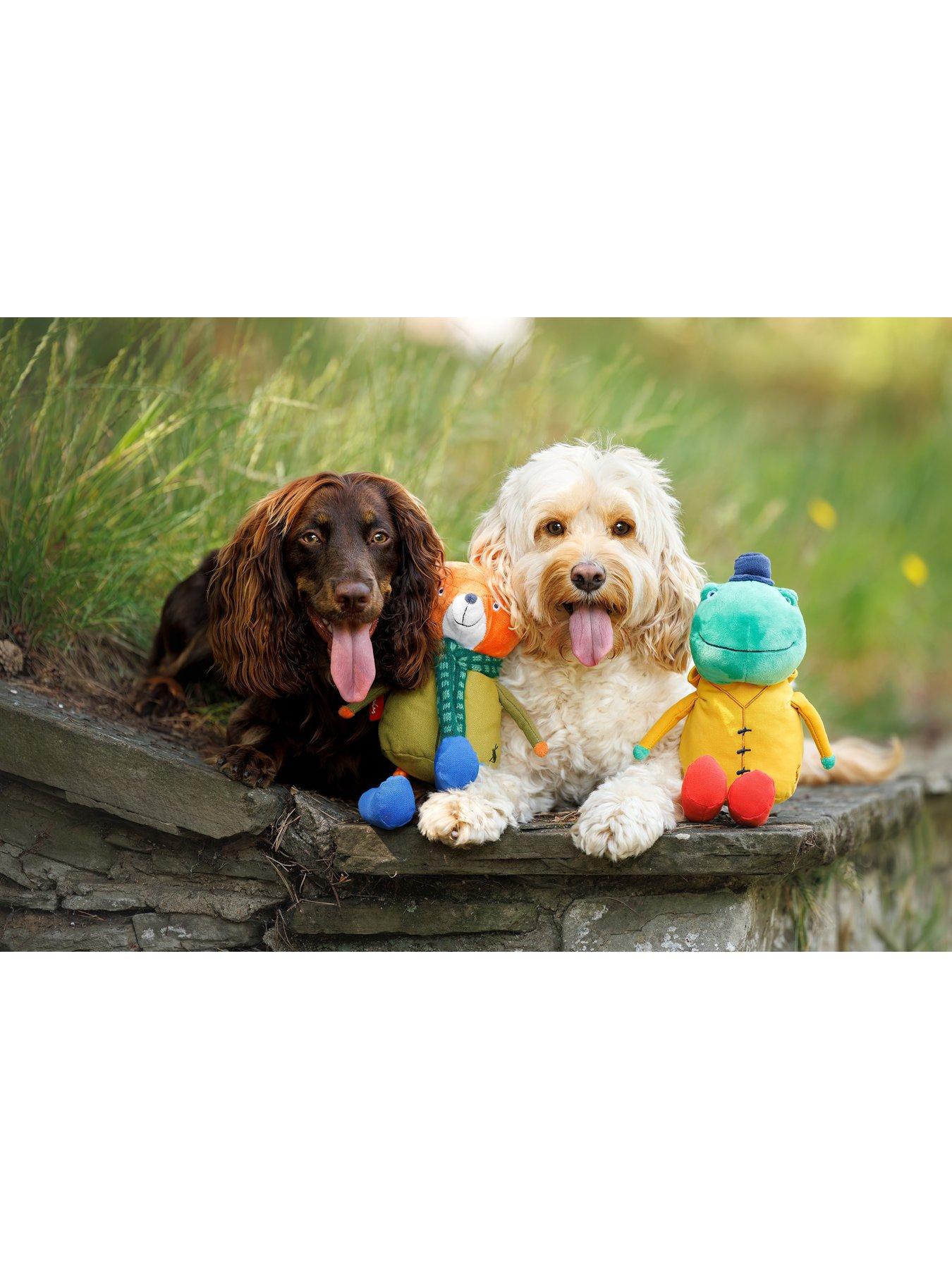 Fox Dog Toy