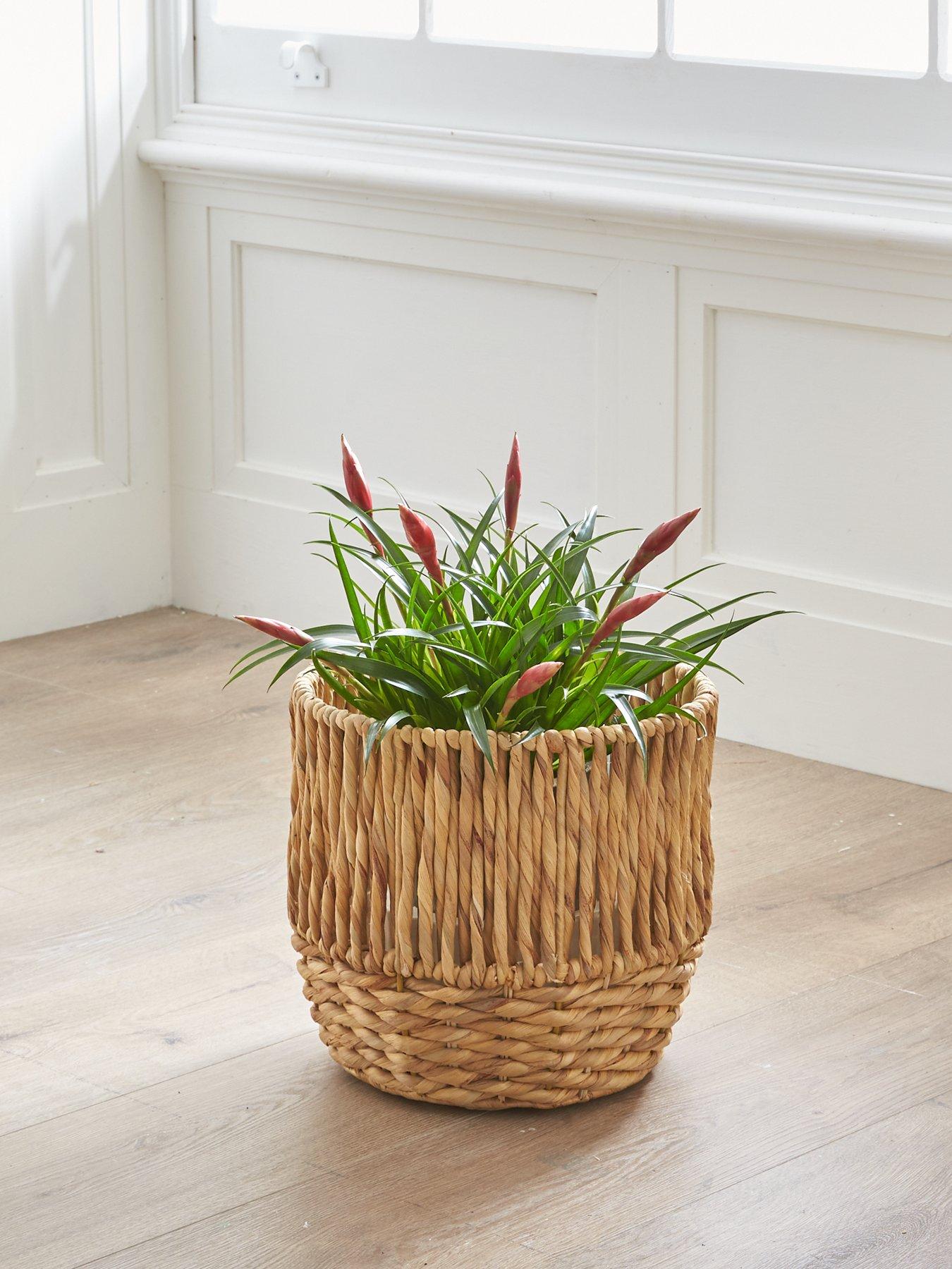 The Very Collection Water Hyacinth Planter
