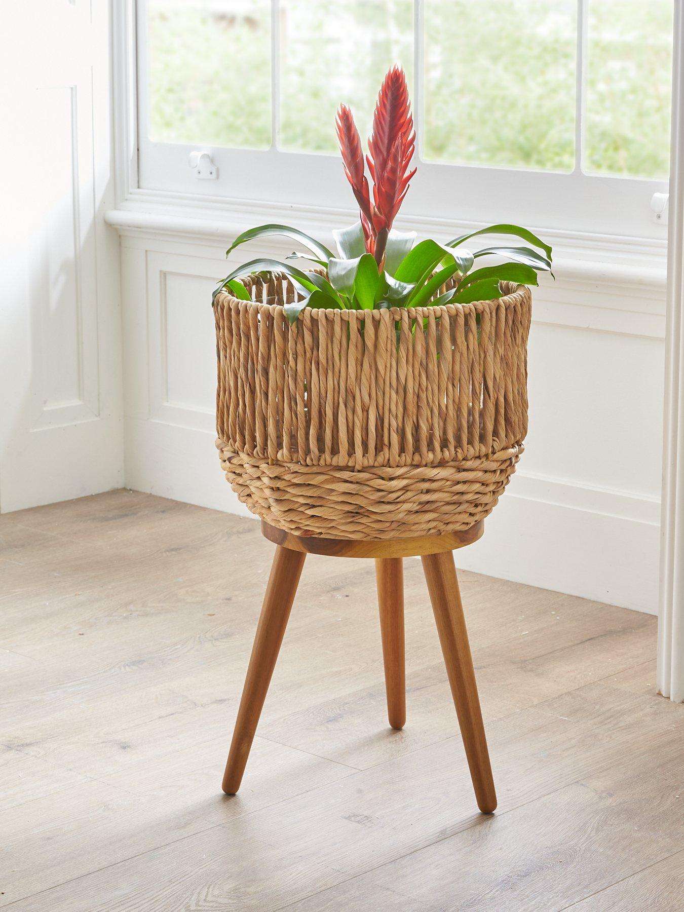 Image 1 of 5 of The Very Collection Water Hyacinth Planter on Wooden Legs
