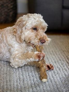 Product photograph of Rosewood Goodwood Dog Toy - Medium 230g - 350g from very.co.uk