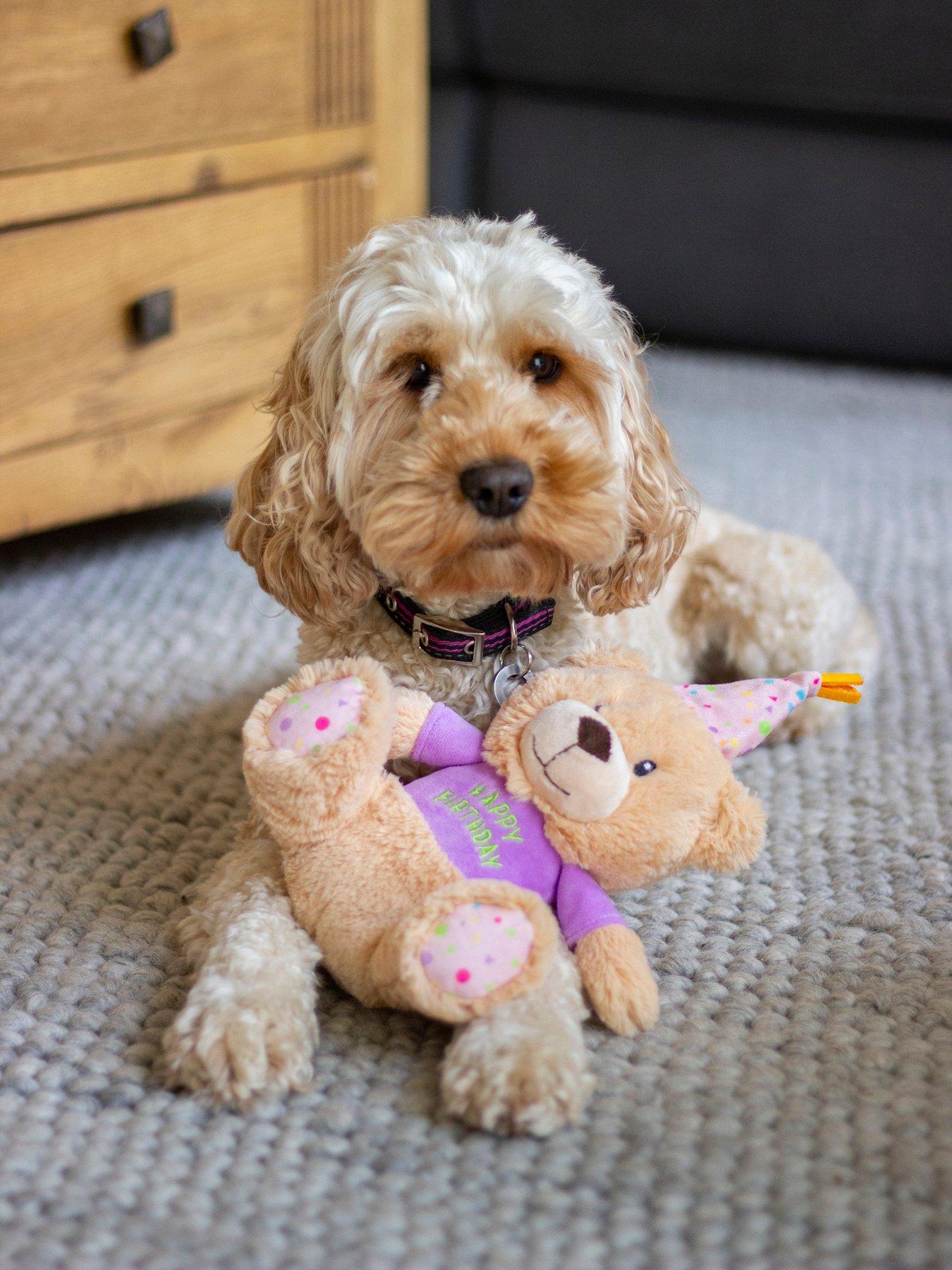 Product photograph of Rosewood Birthday Bear Plush Toy For Dogs from very.co.uk