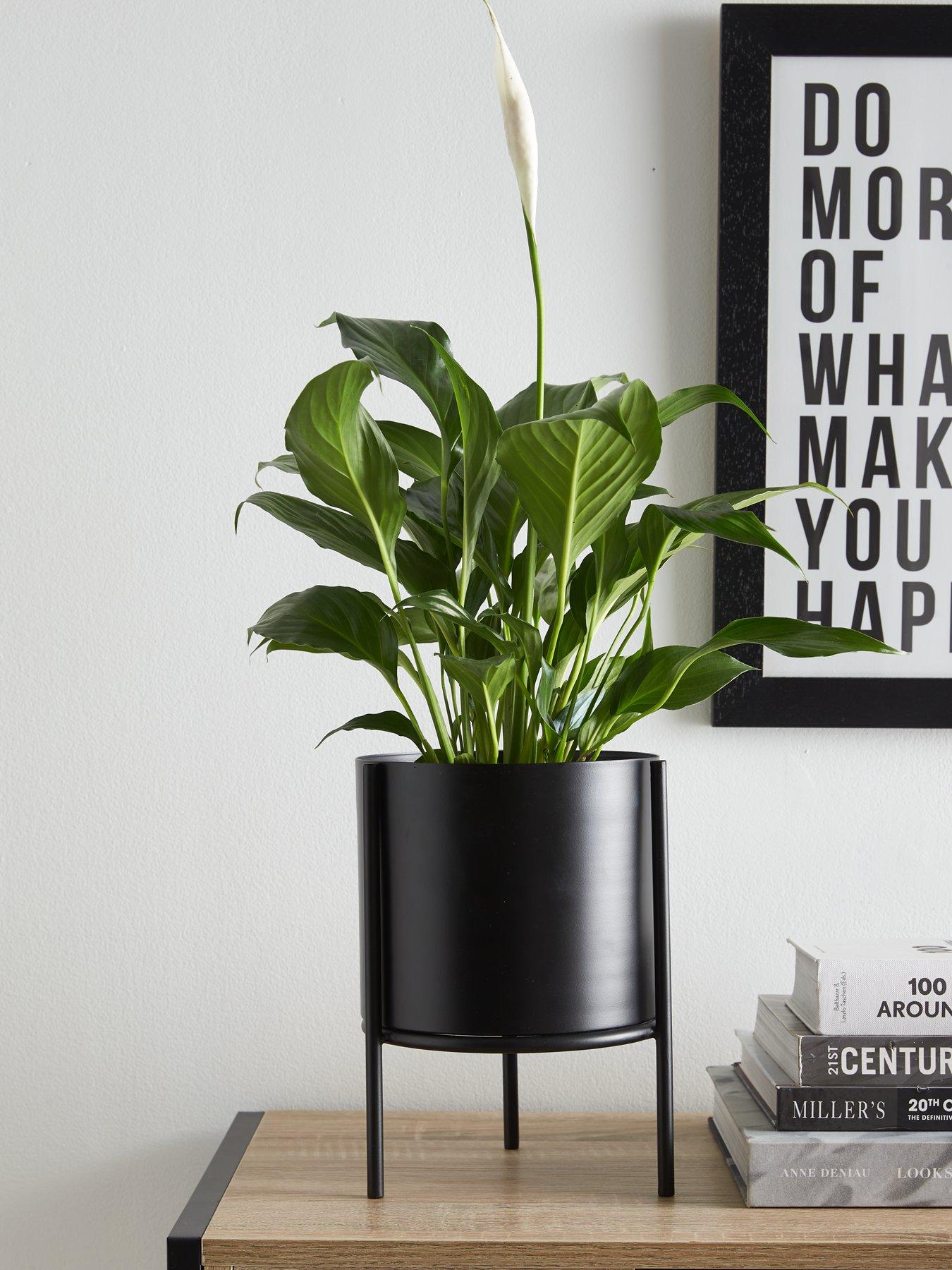 undefined Standing Metal Planter - Black