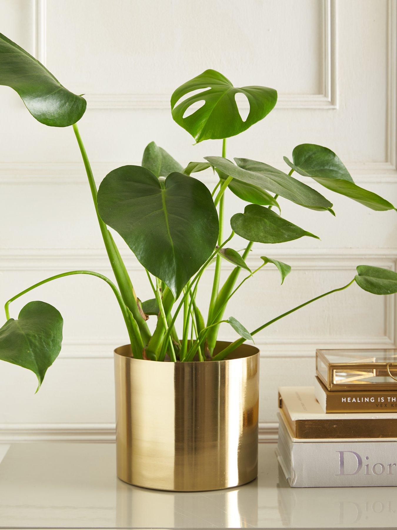 Product photograph of Michelle Keegan Gold Metal Planter from very.co.uk