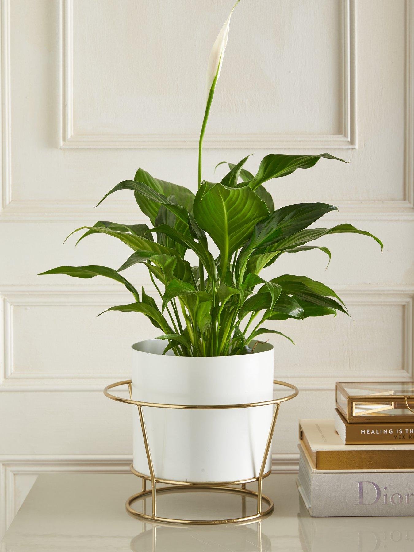 Product photograph of Michelle Keegan Gigi White Metal Planter On Stand from very.co.uk