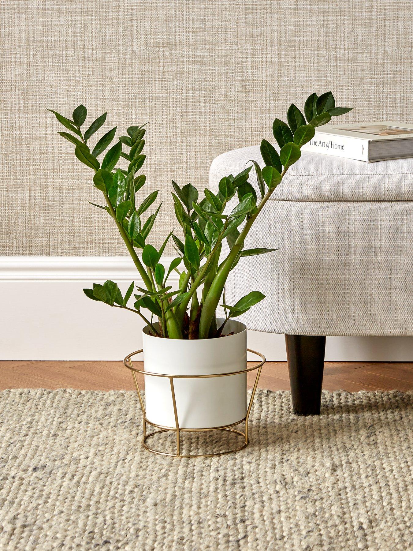 Product photograph of Michelle Keegan Gigi White Metal Planter On Stand from very.co.uk