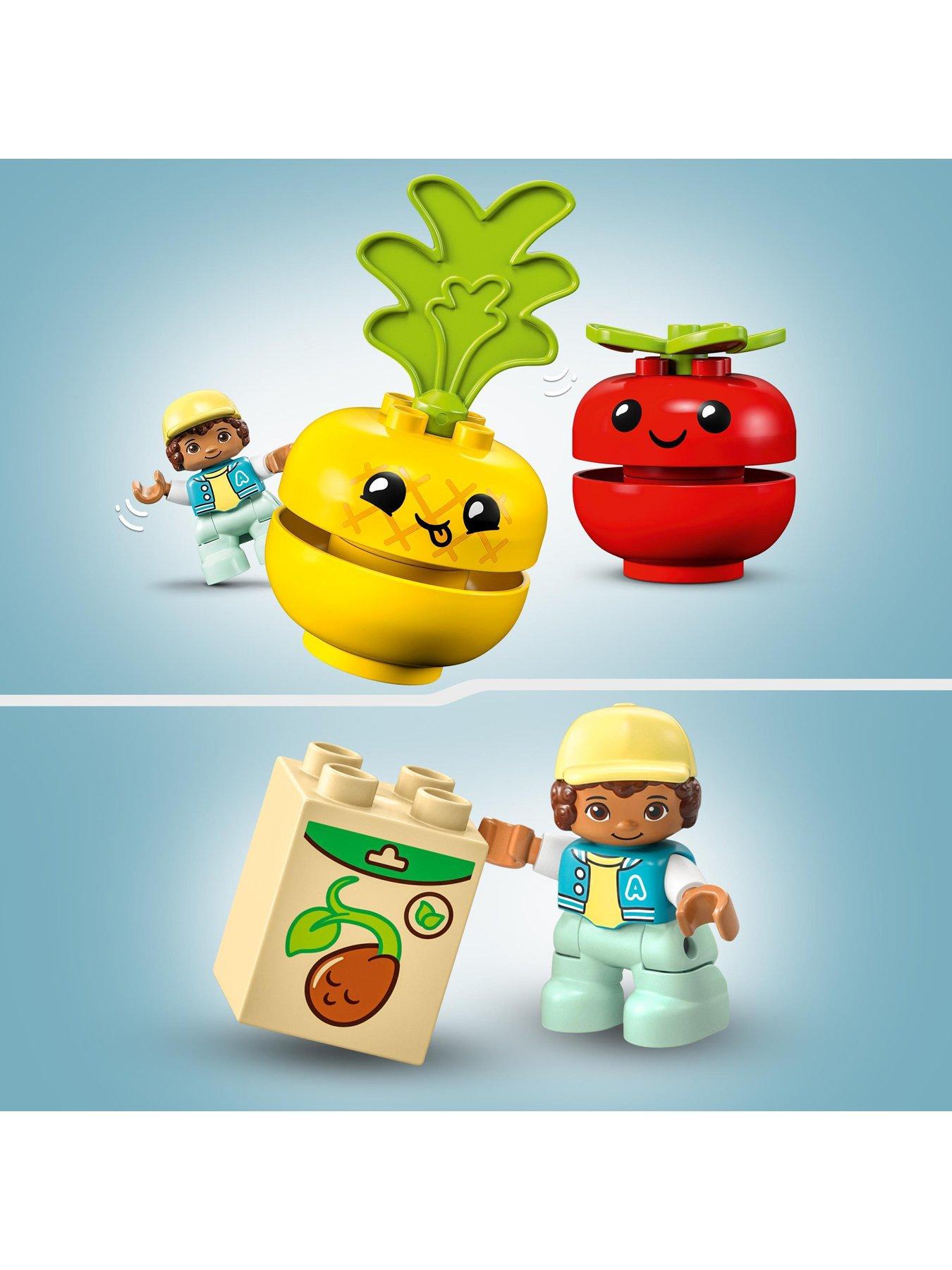 Duplo picnic online set