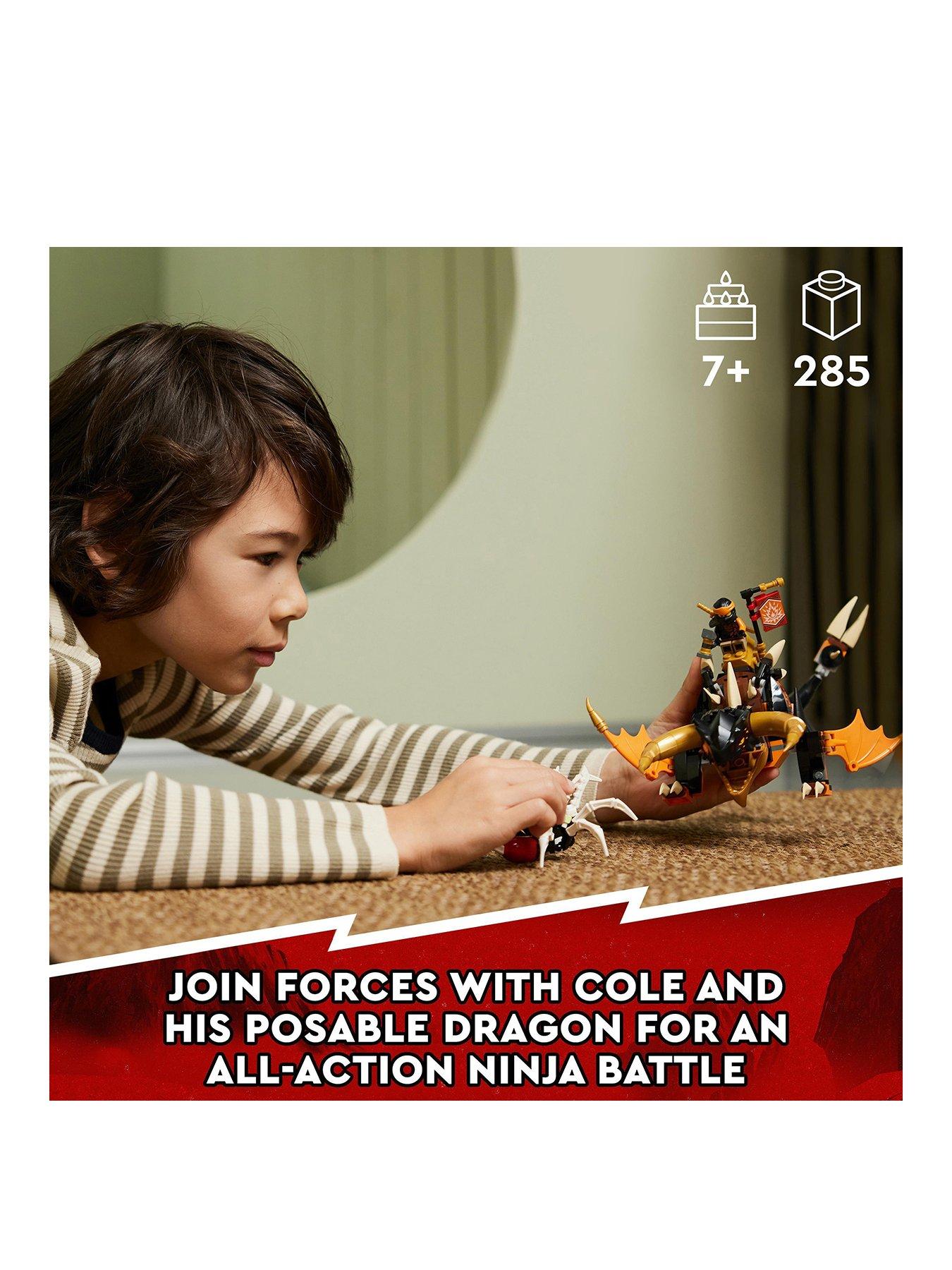 Cole's Earth Dragon EVO 71782, NINJAGO®