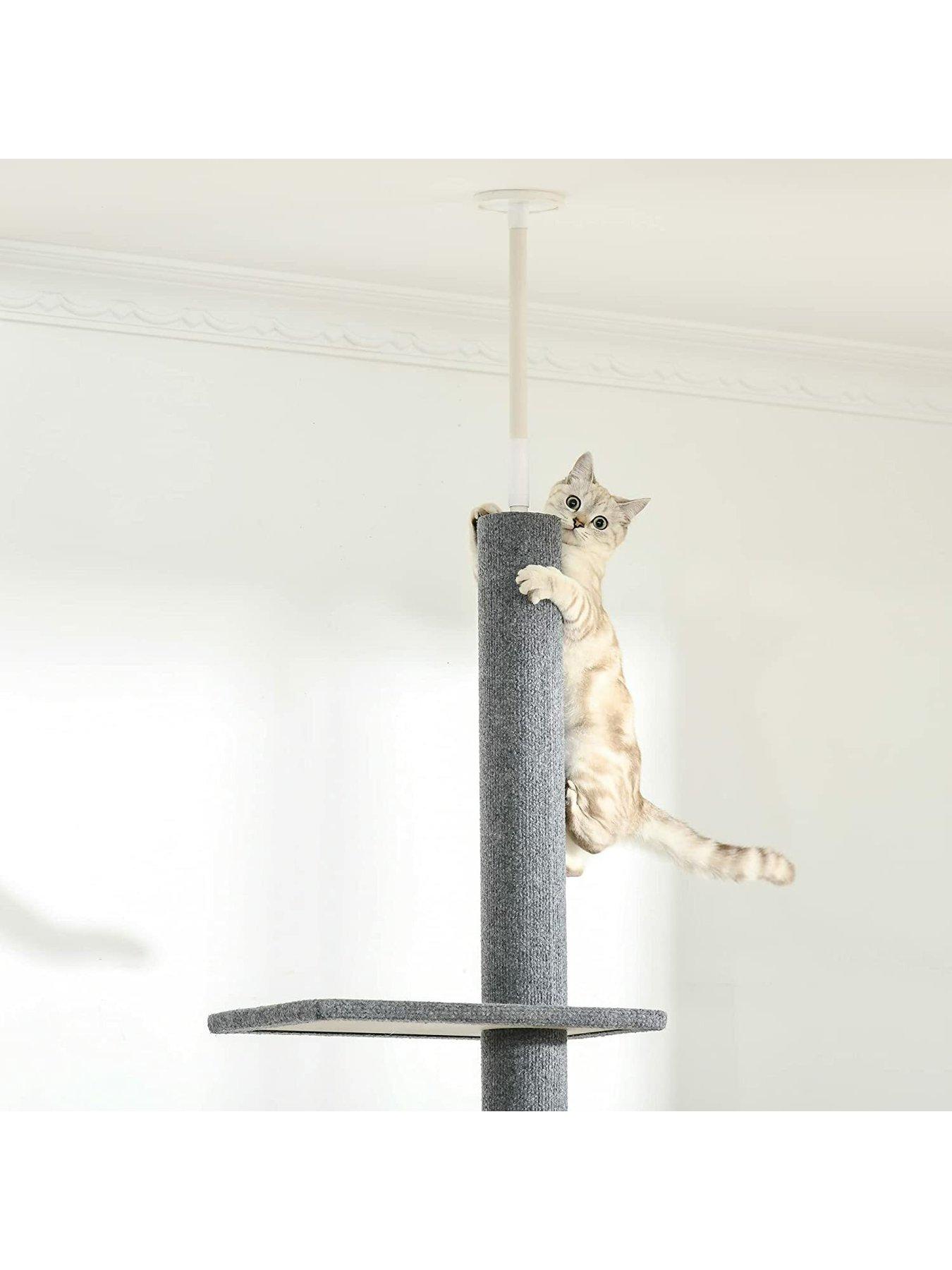 Cat tree outlet ceiling to floor