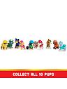 Image thumbnail 6 of 6 of Paw Patrol Core Figure Gift Pack