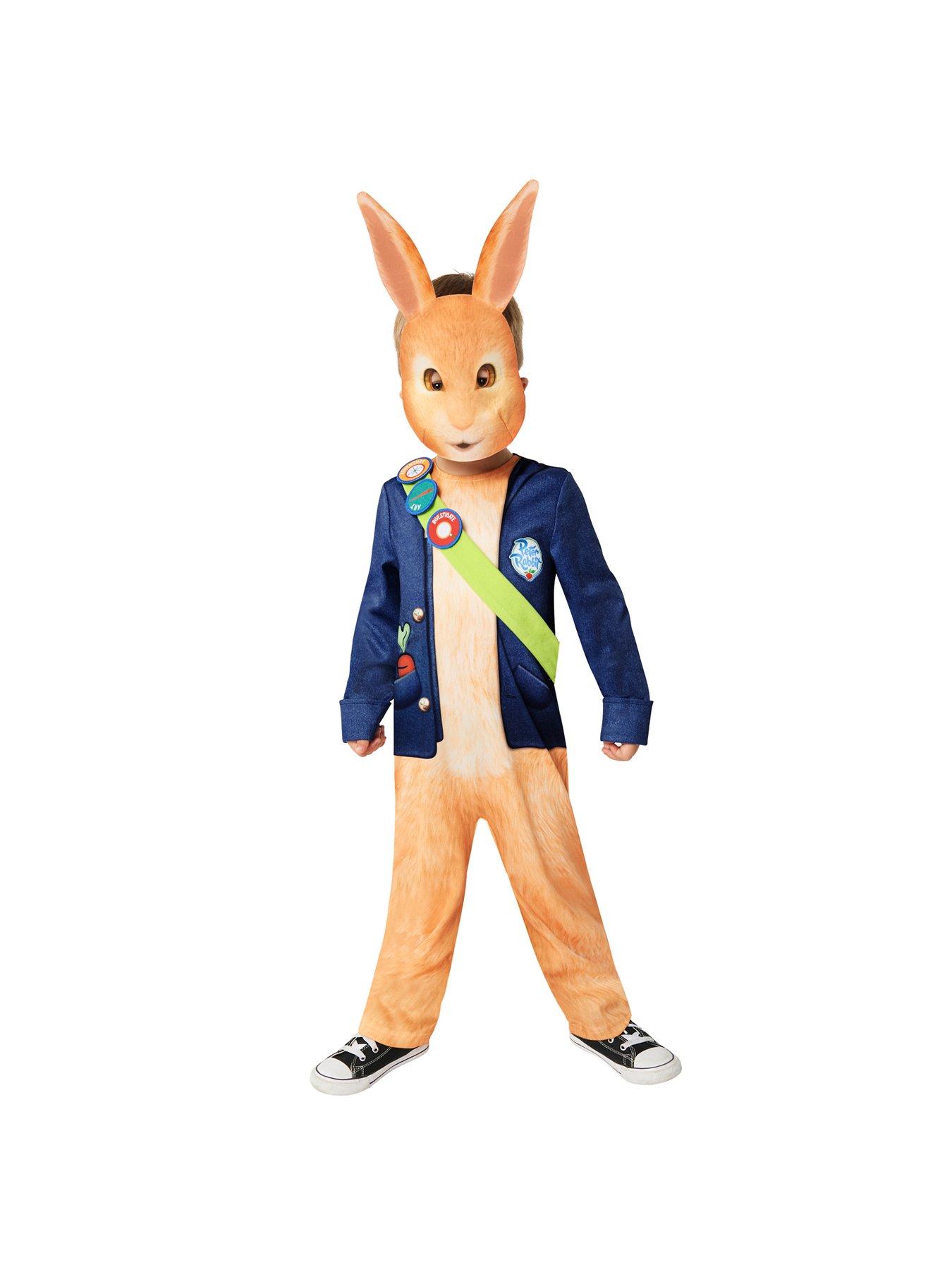 Image 1 of 2 of Peter Rabbit TV Costume