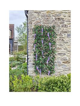 Product photograph of Smart Garden Wisteria Expanding Trellis 180 X 60cm from very.co.uk