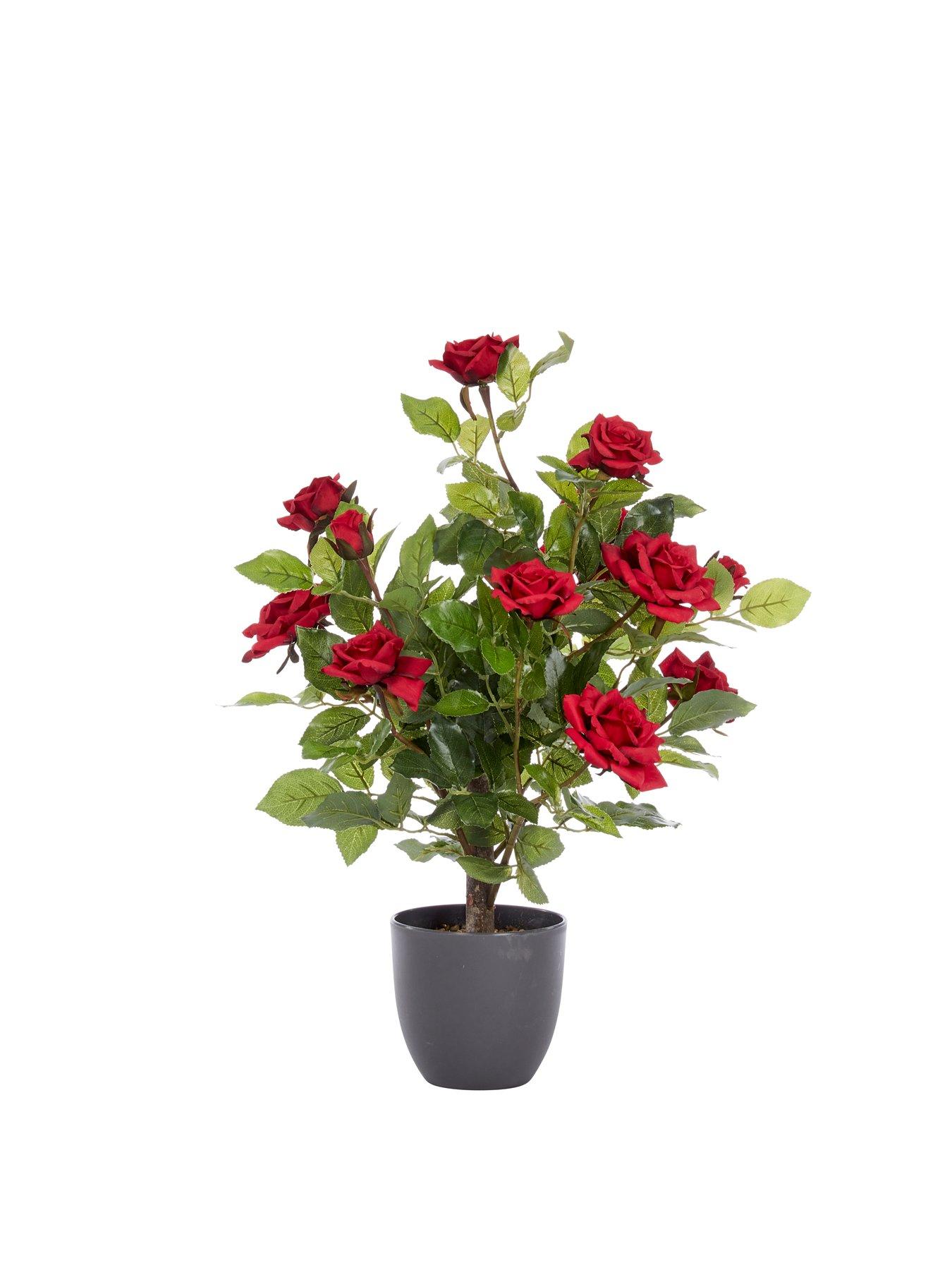Image 2 of 2 of Smart Garden 60cm Ruby Red Faux Rose Plant