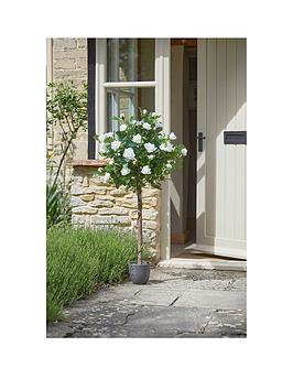 Product photograph of Smart Garden 120cm White Faux Rose Tree from very.co.uk