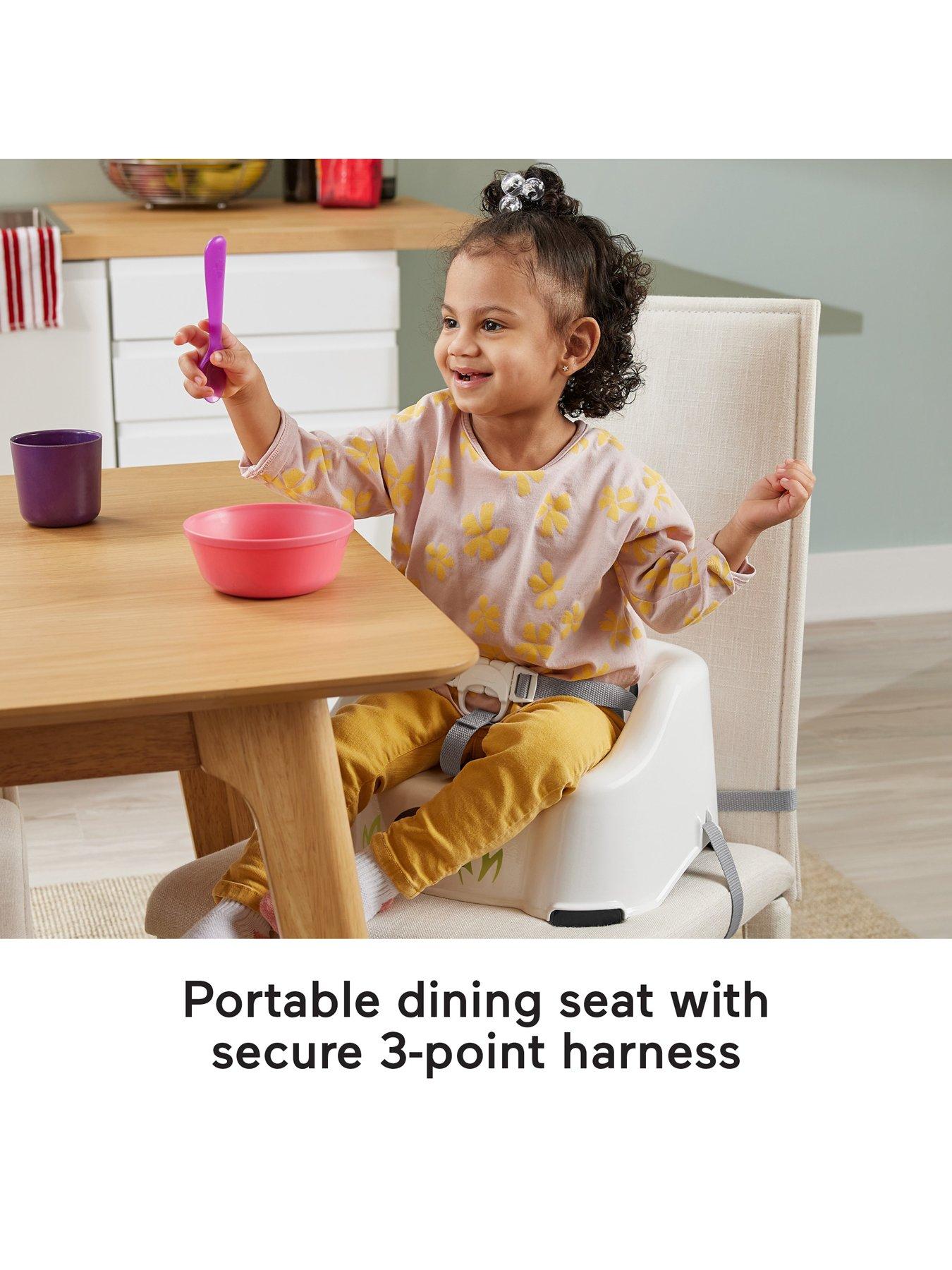 Fisher price clearance travel booster seat