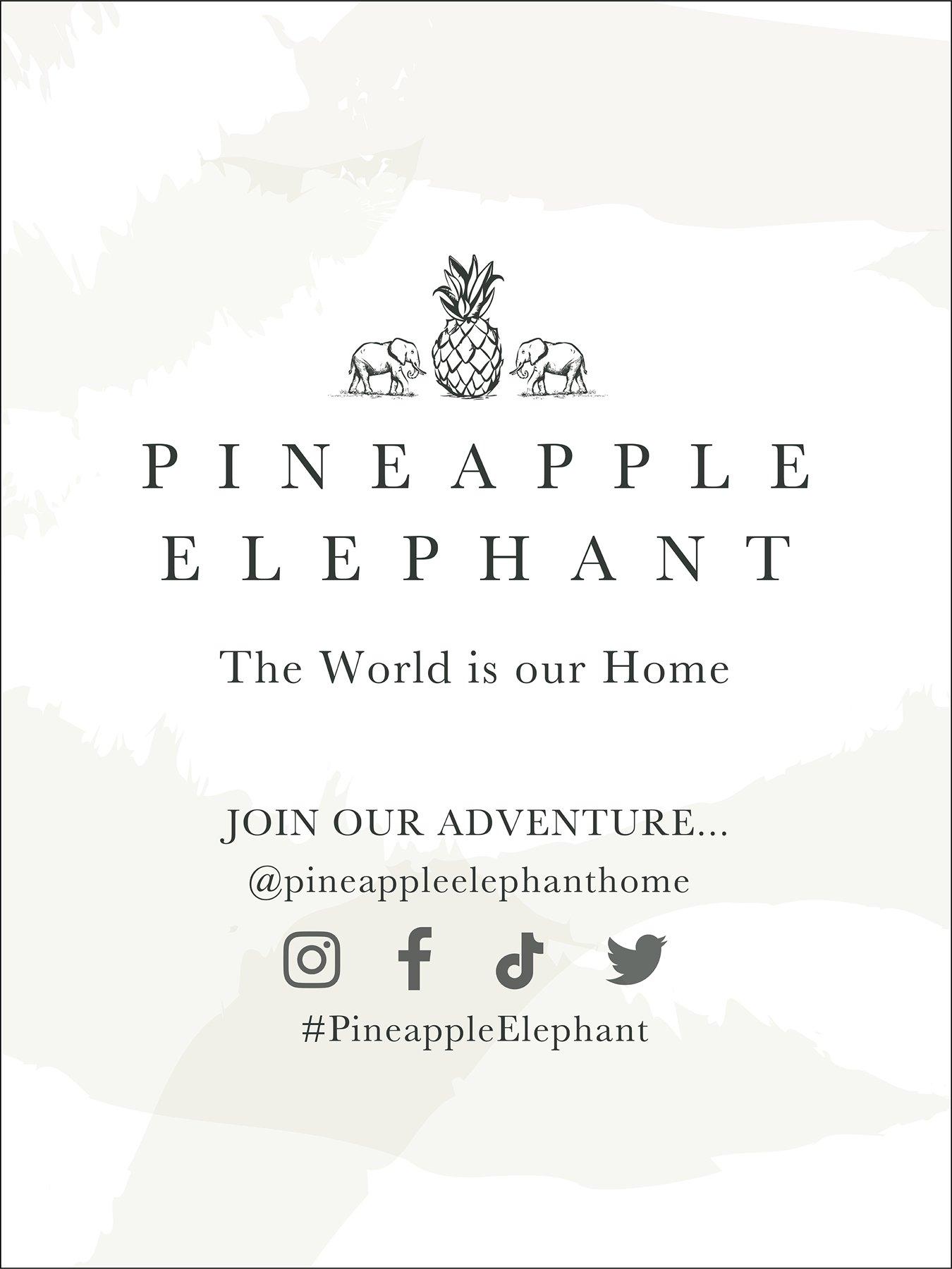 Image 3 of 3 of Pineapple Elephant Tamba Jersey Oxford Pillowcase Pair - Natural