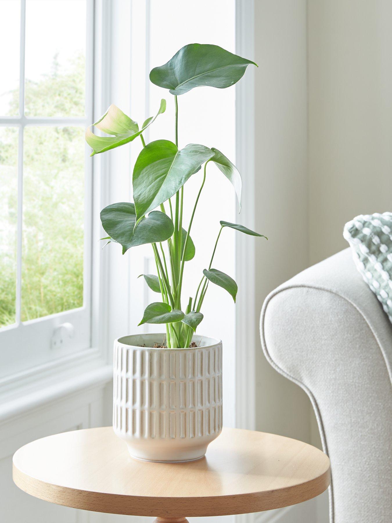 Product photograph of Very Home Natural Debossed Planter from very.co.uk