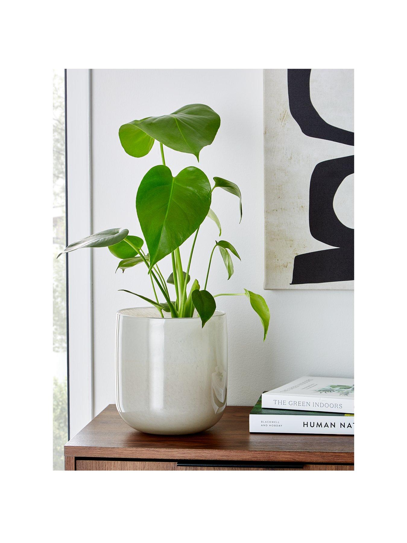 Product photograph of Very Home Milky Glass Planter from very.co.uk