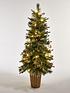  image of festive-berwick-pine-fibre-optic-potted-christmasnbsptree-5ft