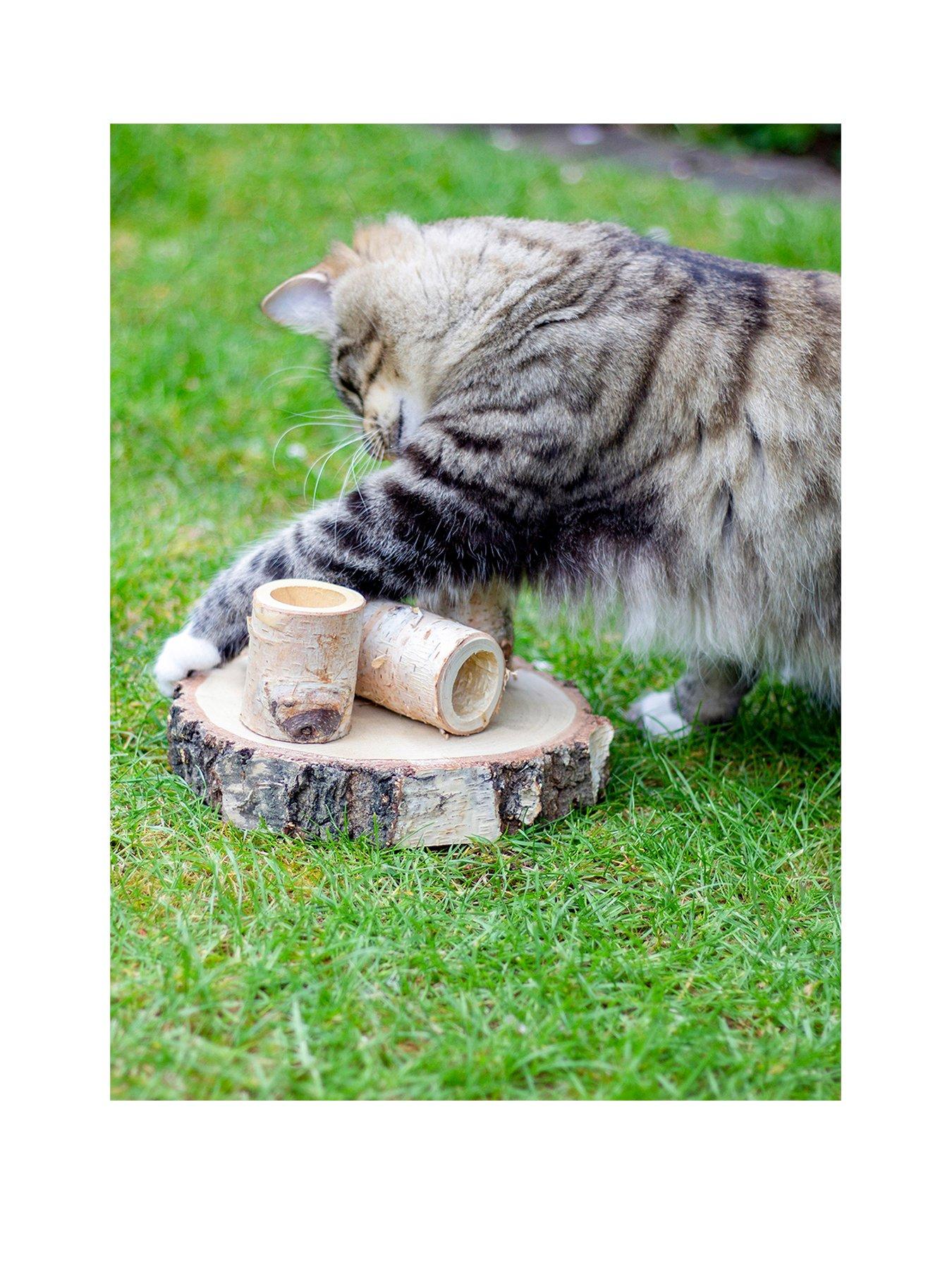 Product photograph of Rosewood Cat Naturals Fun Park from very.co.uk