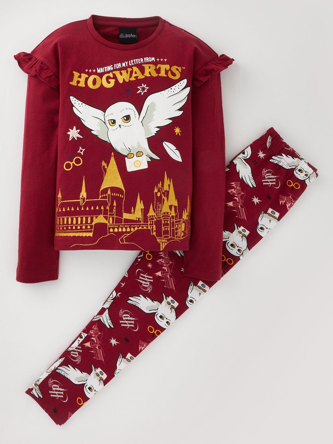 Hedwig and Harry Potter Diamond Painting Kits 20% Off Today – DIY