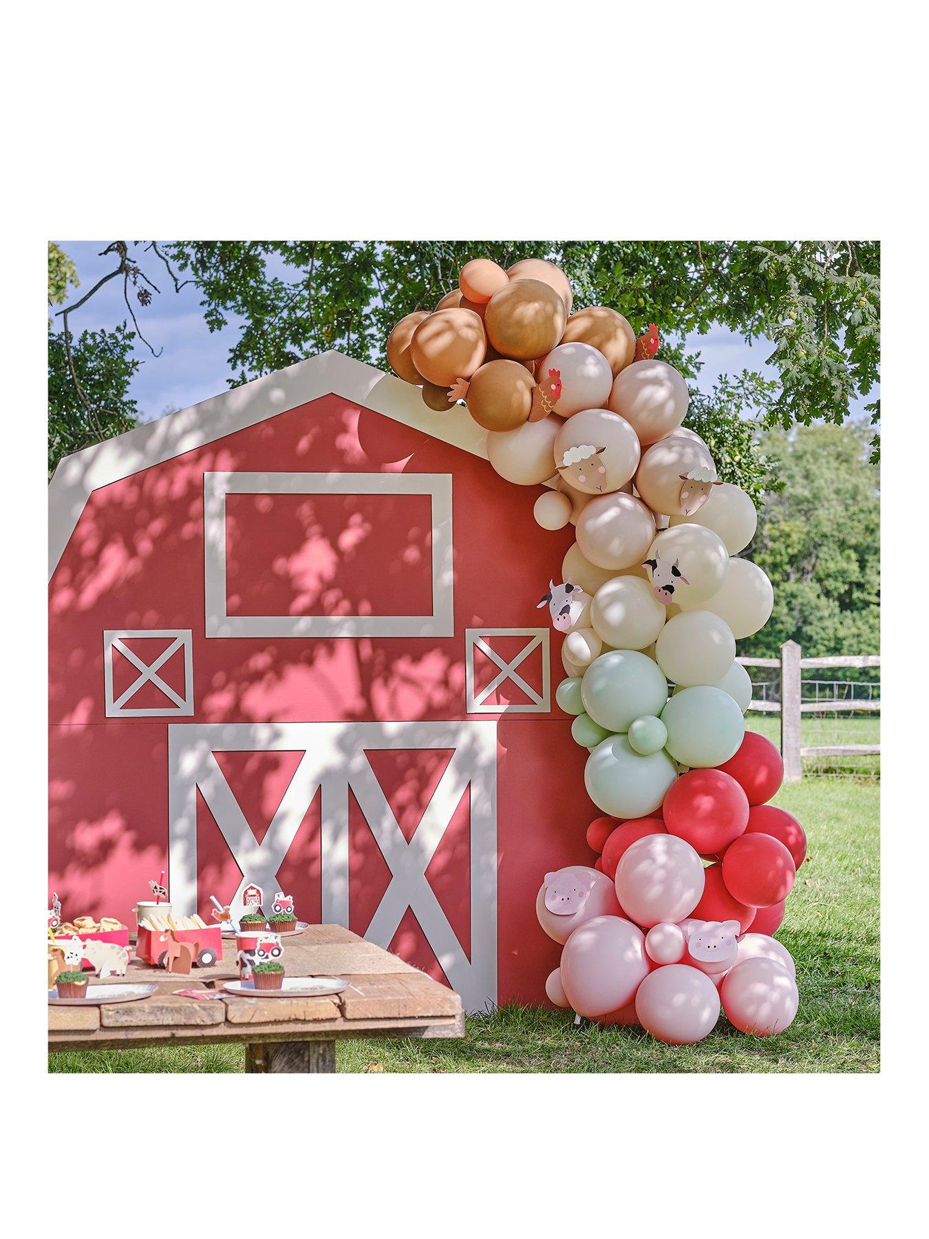 Ginger Ray - Blush and Peach Balloon and Fan Garland