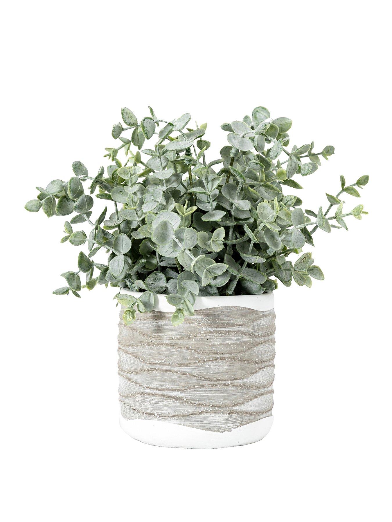 Product photograph of Gallery Eucalyptus In Wavy Pot - Medium from very.co.uk